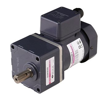 AC Gear Motors